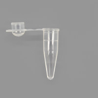 BeyoGold™ PCR管(0.2ml, 凸盖, 透明)