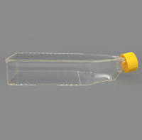 BeyoGold™ 175cm2密封盖细胞培养瓶