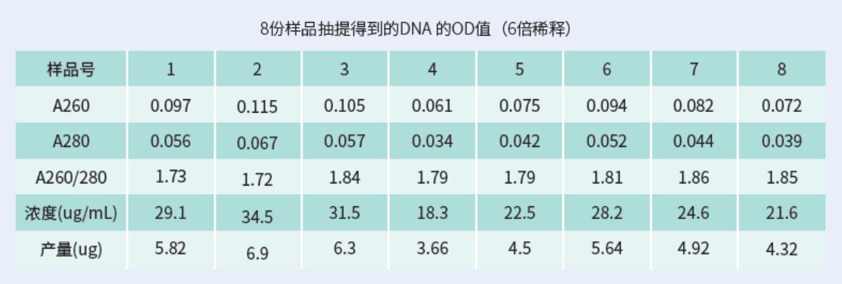 睿科发布Vitae 100高通量自动核酸纯化系统新品