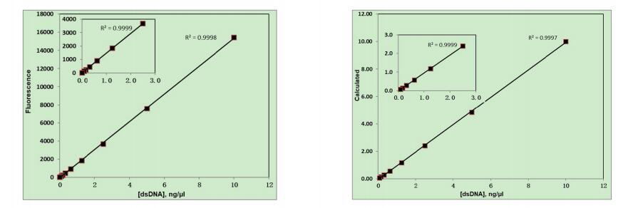 StarLighter dsDNA 高灵敏检测试剂盒