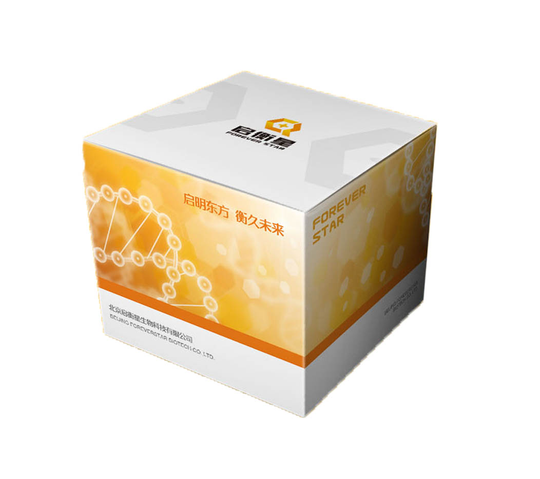StarPure DNA纯化试剂盒