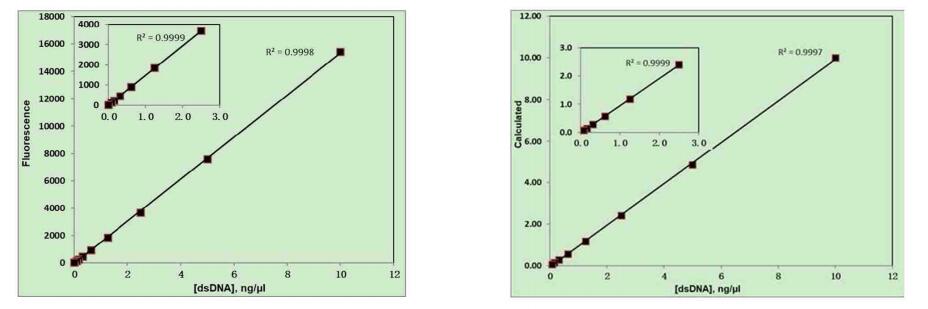 StarLighter dsDNA 高灵敏检测试剂盒