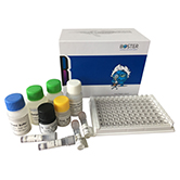 ELISA kit / 一抗产品七折抗疫