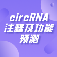 circRNA注釋及功能預測