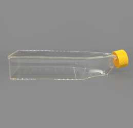 BeyoGold™ 175cm2透气盖细胞培养瓶