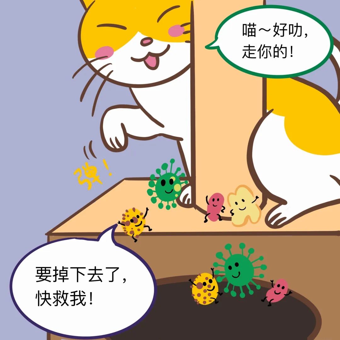 点击解锁细菌在哪里