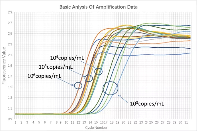 新型冠状病毒2019核酸检测试剂盒