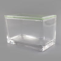 60片装载玻片染色缸