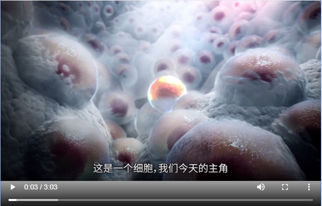 【赢定制积木】细胞治疗全解析，讲座、法规、资源应有尽有