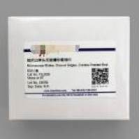 抛光边单头双面磨砂载玻片