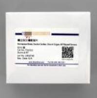 磨边双凹槽载玻片