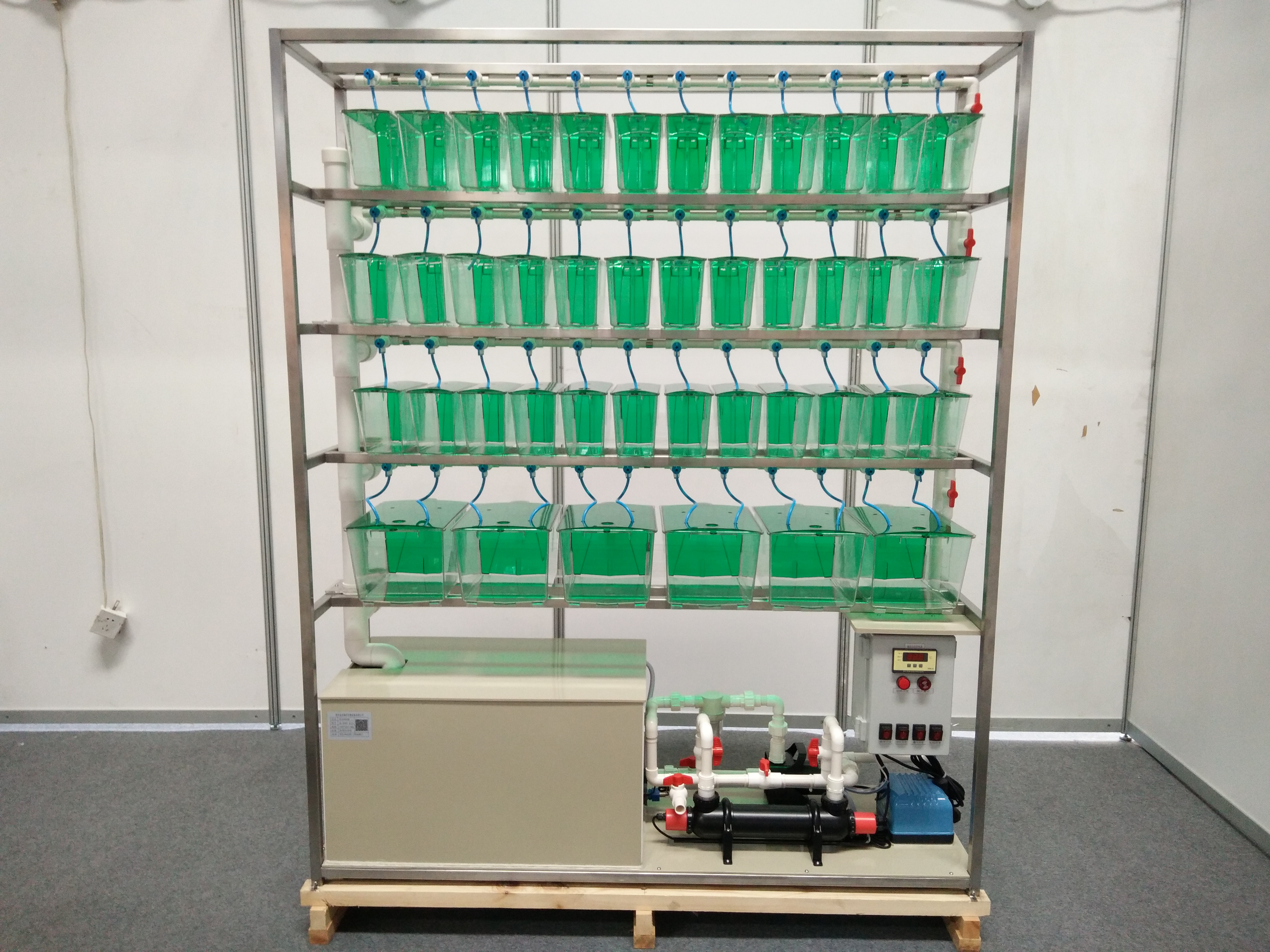 斑马鱼养殖系统