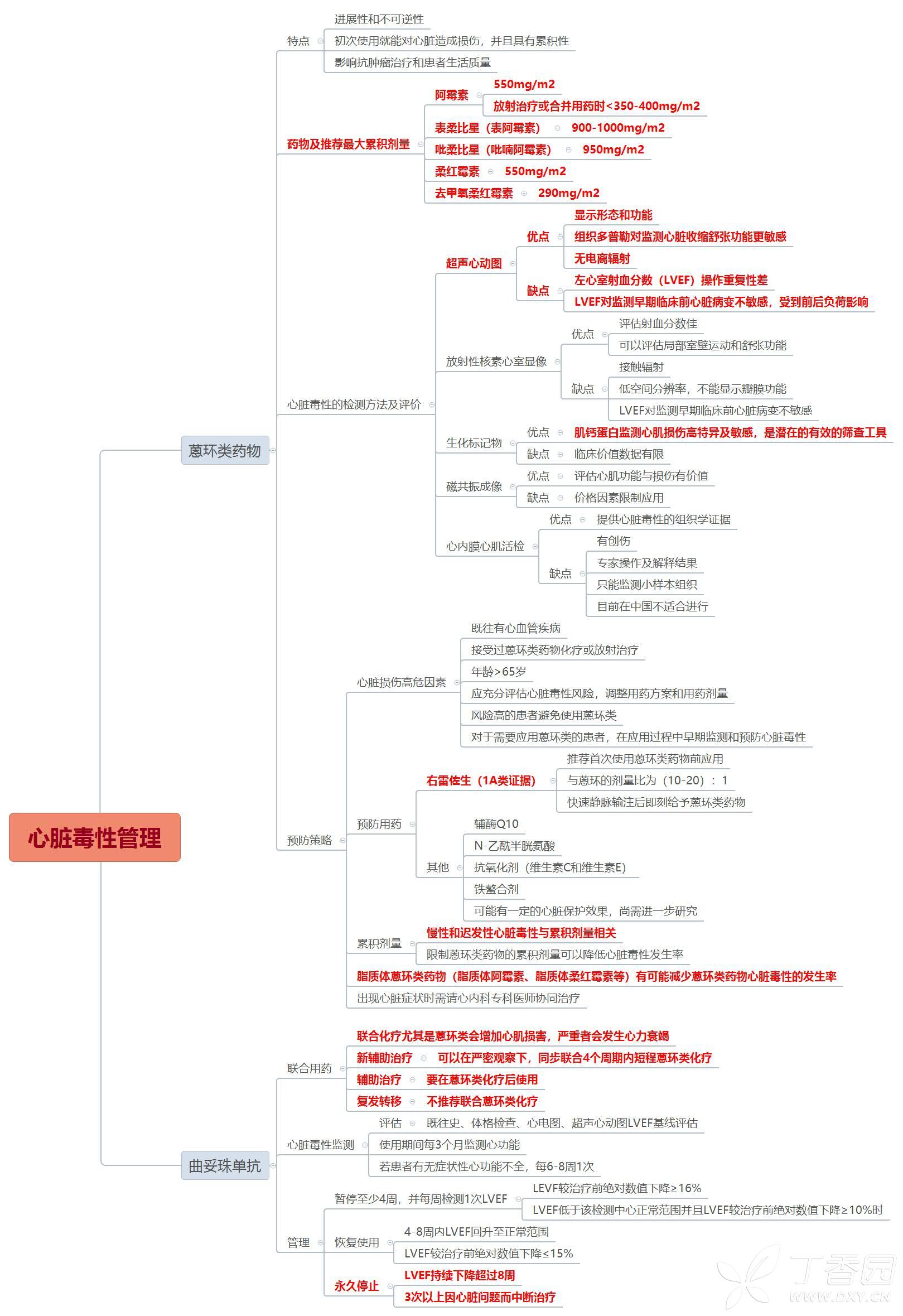 病理学肿瘤思维导图图片