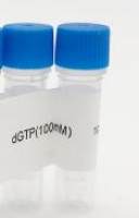 4×dNTPs (100mM) / dNTP (100mM) 4管套装