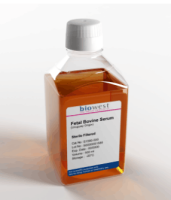 胎牛血清 (南美乌拉圭血源)