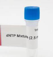 dNTP Mixture (2.5 mM each)