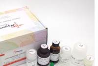 总RNA快速提取试剂盒(非离心柱型)Total RNApure Kit