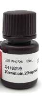 G418遗传霉素溶液 (Geneticin,20mg/mL)