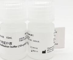 PCR扩增缓冲液 / PCR Amplification buffer (10×,pH8.3)