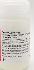 Secondary Antibody Dilution Buffer for Western