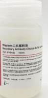 Secondary Antibody Dilution Buffer for Western