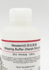 Western抗体洗脱液 洗膜液 膜再生液 Stripping Buffer (Harsh Stripping)