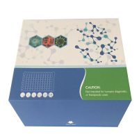 人白蛋白（ALB）ELISA试剂盒