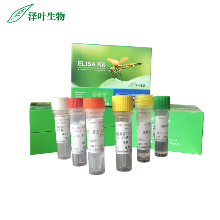 虎源性成分探针法荧光定量PCR试剂盒