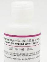 Western Blot一抗二抗去除液（中性）