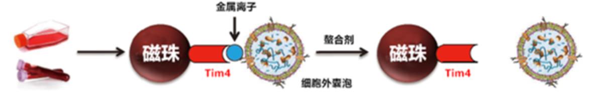 太阳集团5493con