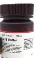 即用型GUS染色液 / Ready-to-use GUS Staining Solution