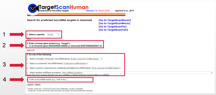 microRNA靶点预测