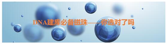 丁香通