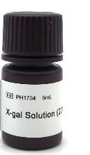 X-gal Solution (20mg/ml)