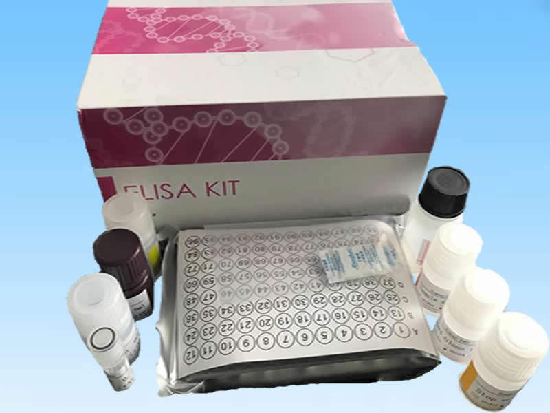 IL22 mRNA原位杂交试剂盒