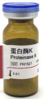 Proteinase K 蛋白酶K