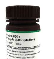 RIPA裂解液(中) RIPA Lysis Buffer (Medium)