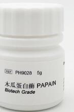 木瓜蛋白酶 / Papain