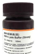 RIPA裂解液(强) RIPA Lysis Buffer (Strong)
