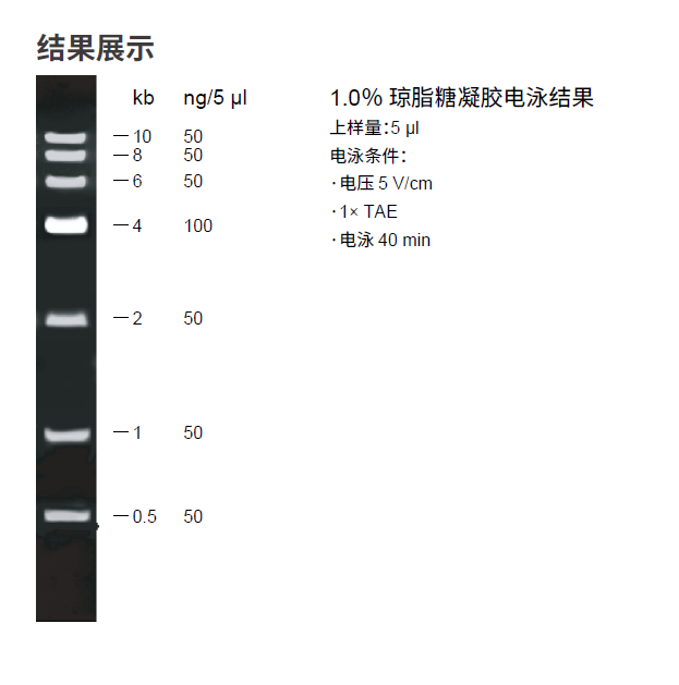 6kb Plus DNA分子量標準