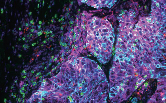产品细节图片12
