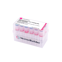 AAV血清型彩虹装