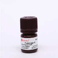 Proteinase K 蛋白酶K
