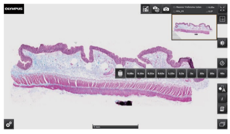 产品细节图片15