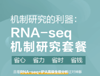机制研究的利器：RNA-seq机制研究套餐