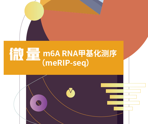 m6A全转录组测序(不仅限于mRNA）