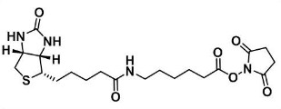 Biotin-LC-NHS / Biotin-LC-NHS产品图