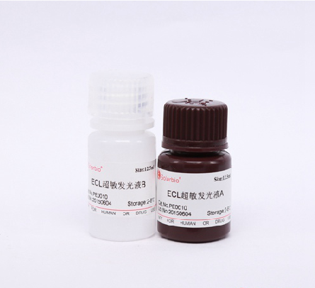 ECL Plus超敏发光液 A液和B液各12.5ml