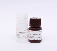 ECL Plus超敏发光液 A液和B液各50ml