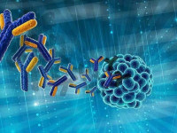 多组学-代谢组+蛋白质组